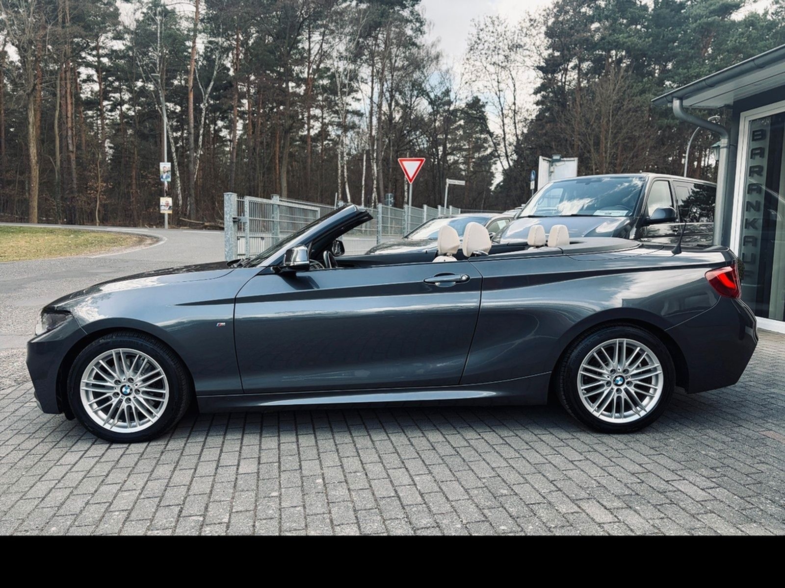BMW 220i Cabrio M Sport+Leder+Navi+SHZ+Xenon+HiFi foto 4