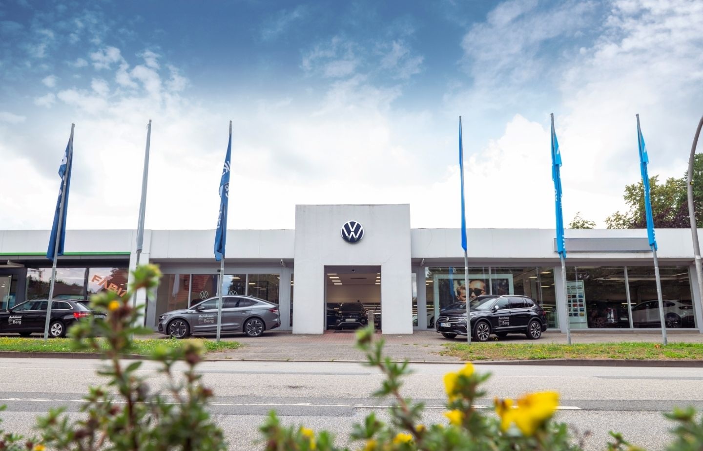 Volkswagen Tiguan Allspace Elegance 4Motion 2.0 TDI DSG AHK foto 16