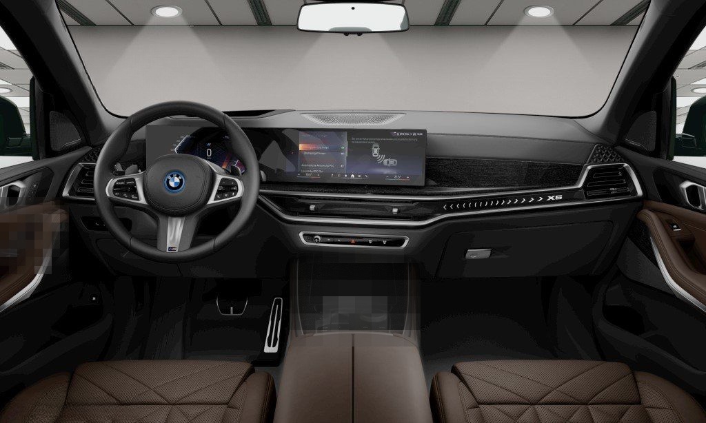 BMW X5 xDrive50e M Sport Driv.Assist.Prof Harman/K foto 7