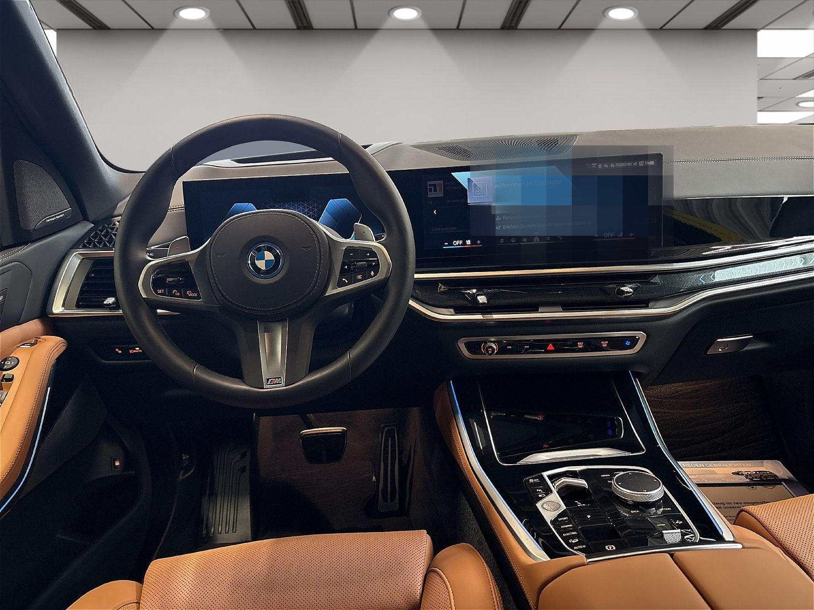 BMW X5 xDrive50e M Sport Driv.Assist.Prof Harman/K foto 13