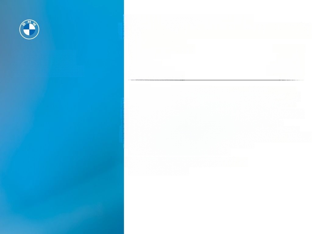 BMW X5 xDrive50e M Sport Driv.Assist.Prof Harman/K foto 3