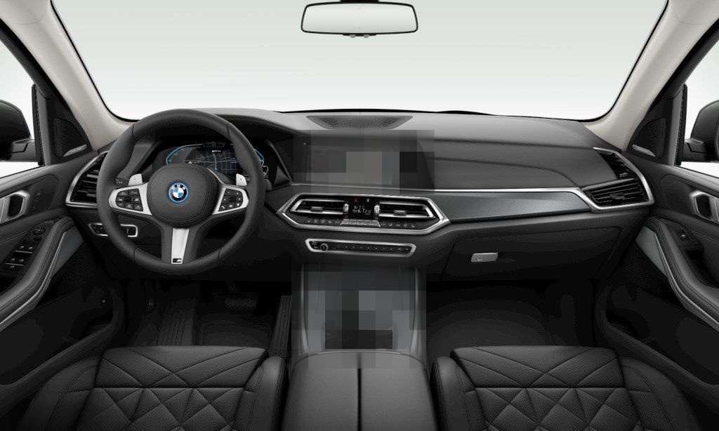 BMW X5 xDrive45e xLine Head-Up HK HiFi DAB WLAN Shz foto 3