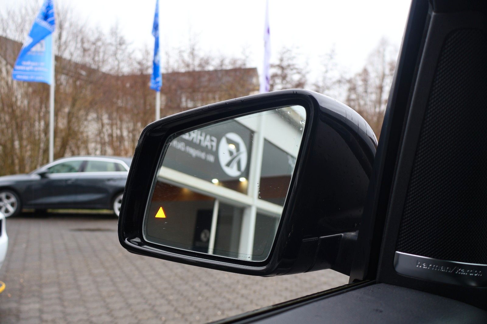 Mercedes-Benz GLS 500 4MATIC/ACC/360°/PANO/H&K/7-SITZER/APPLE foto 10