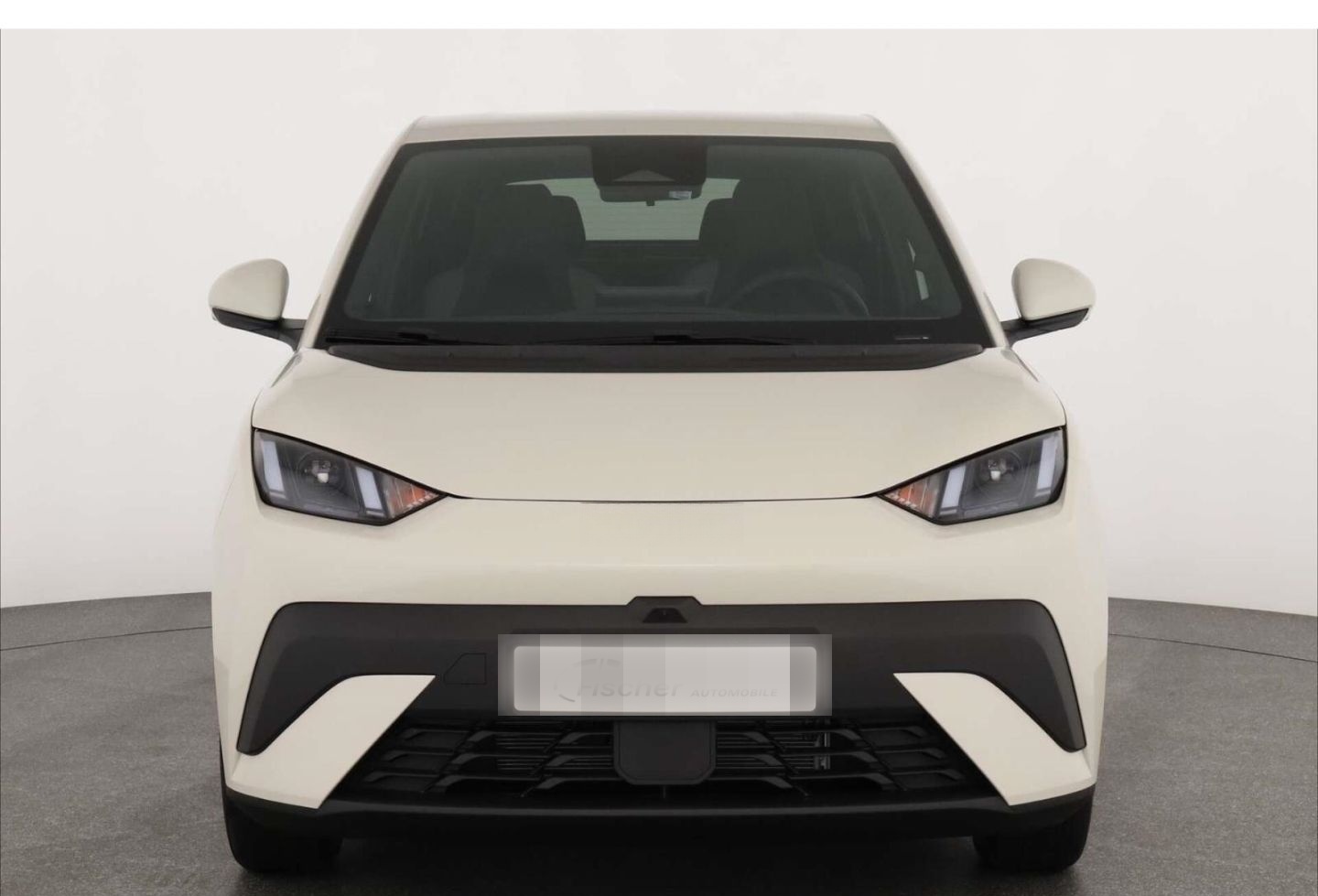 BYD Dolphin Surf Comfort LP: 32.449,- /Top-View/SHZ/ foto 3