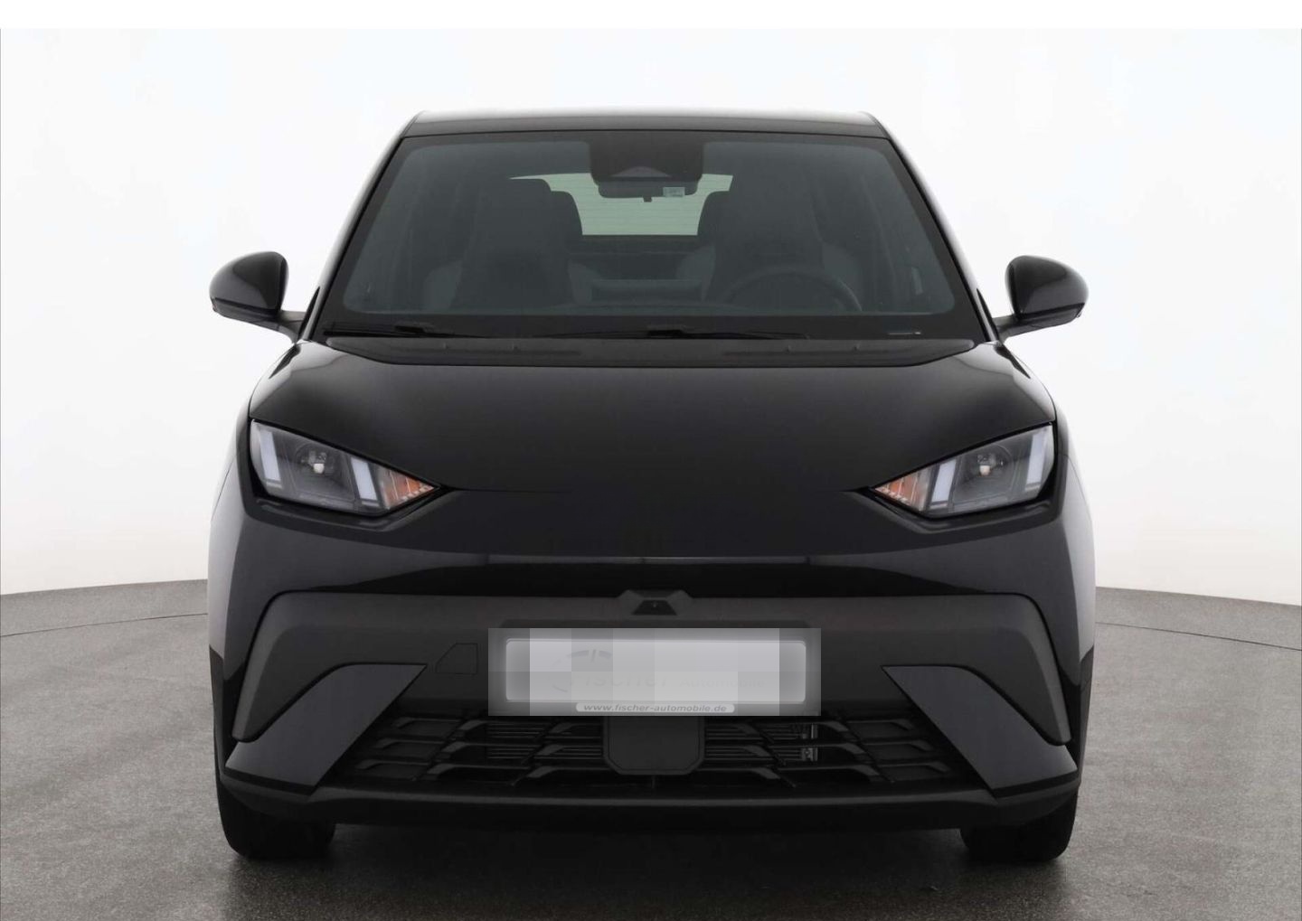 BYD Dolphin Surf Comfort LP: 32.449,- /Top-View/SHZ/ foto 3