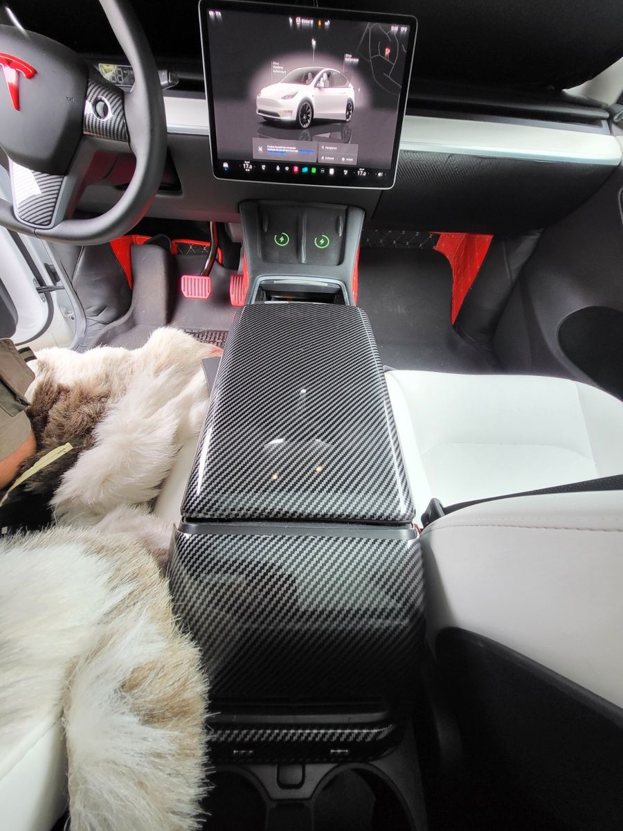 Tesla Model Y Long Range Dual Motor AWD  Boost foto 11