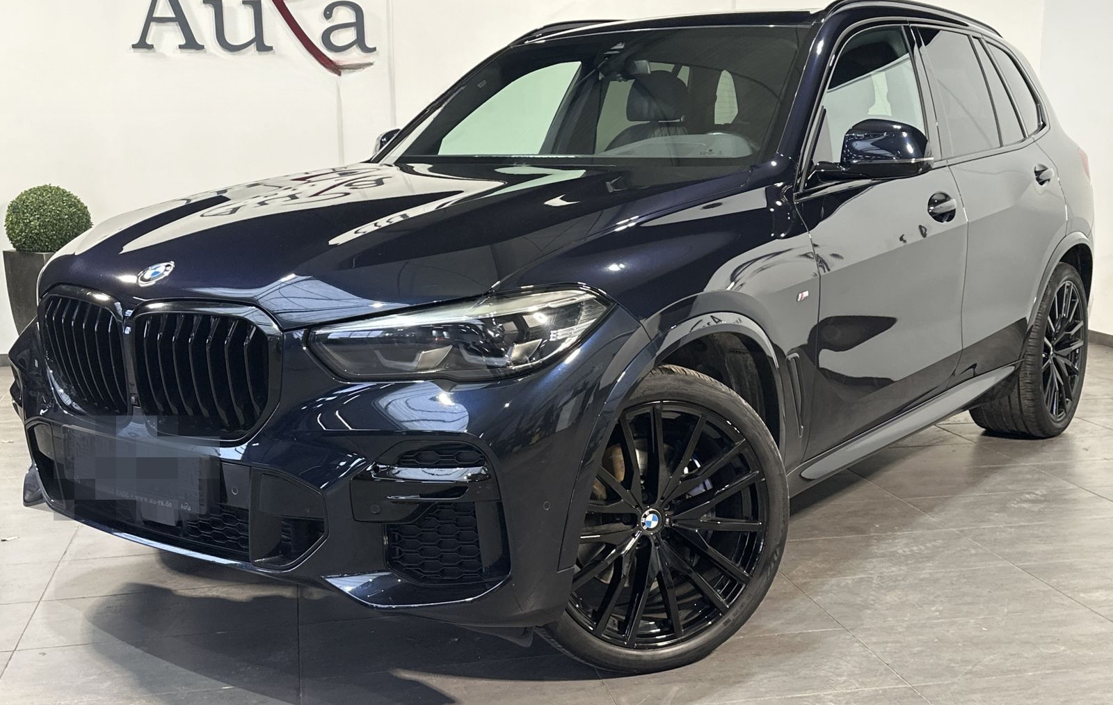 BMW X5 xDrive30d M-Sport NAV+LED+PANO+360°+HEAD-UP foto 2