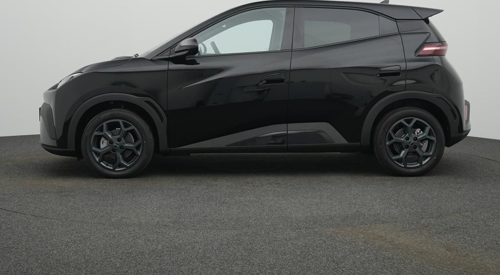 BYD DOLPHIN SURF Comfort foto 6