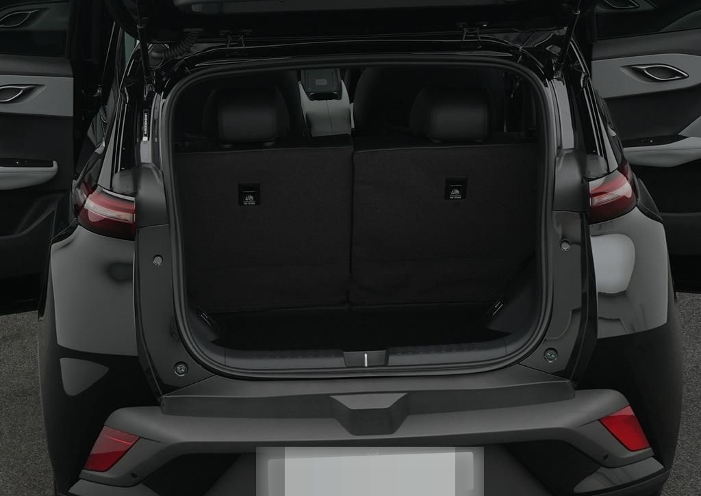 BYD DOLPHIN SURF Comfort foto 8