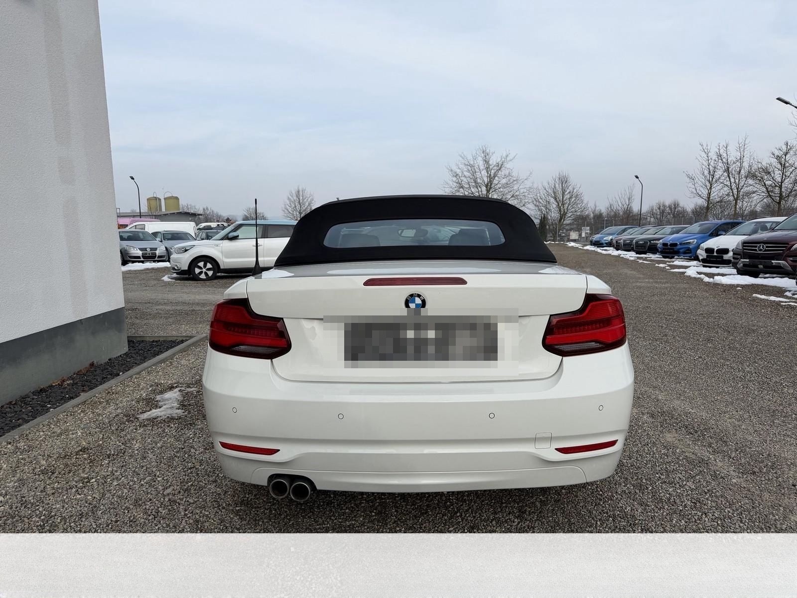 BMW 220 i Cabrio Advantage*LEDER*NAVI*LED*DAB foto 6