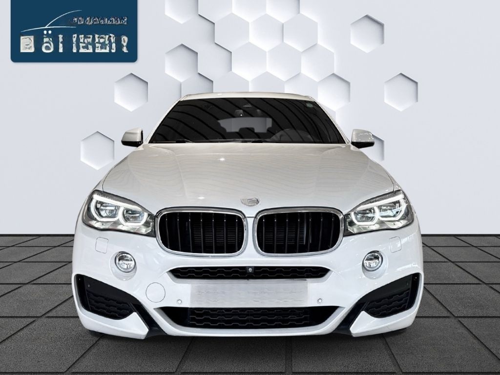BMW X6 30d xDrive Sportpaket Panorama Memory Soundsy foto 3