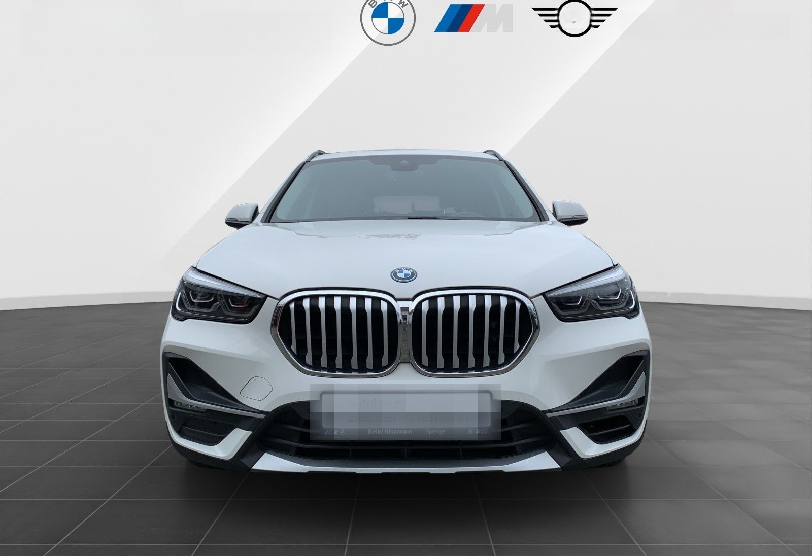 BMW X1 xDrive25e X LINE*18 ZOLL*M SPORT LENKRAD*AHK* foto 2