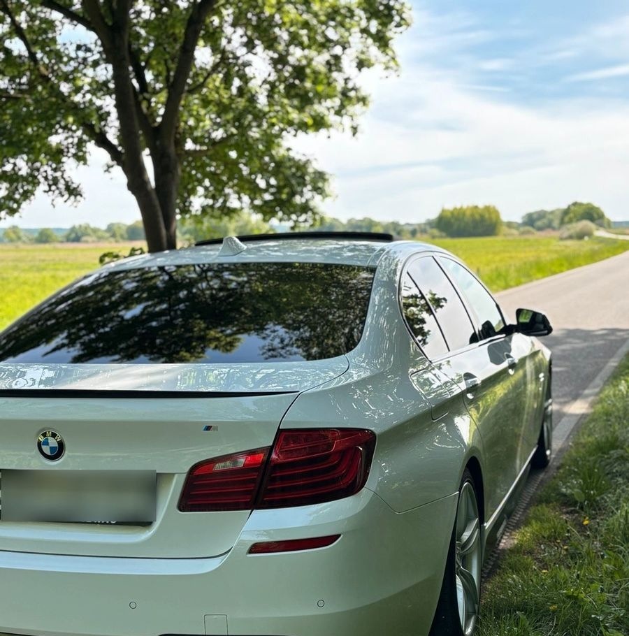 BMW F10 530d M-P foto 8
