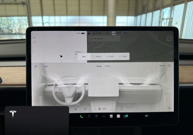 Tesla Model 3 Performance foto 16