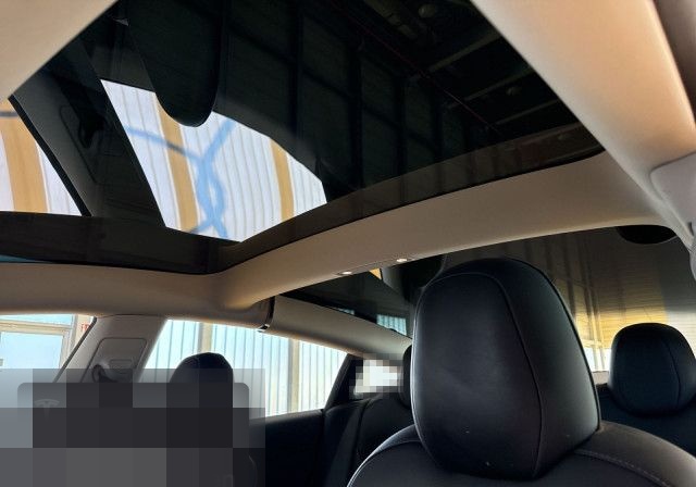 Tesla Model 3 Performance foto 18