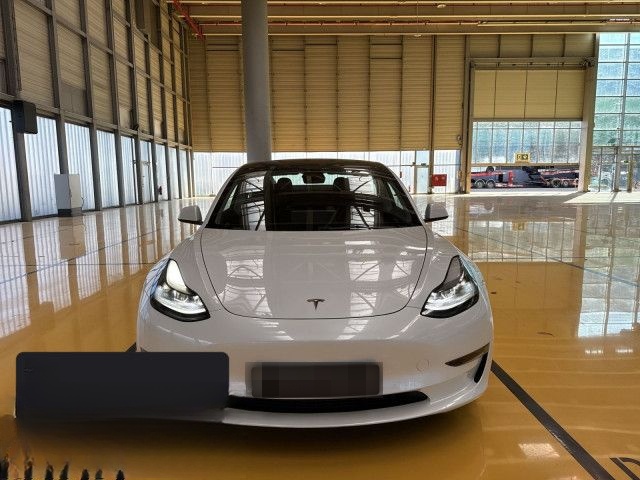Tesla Model 3 Performance foto 3