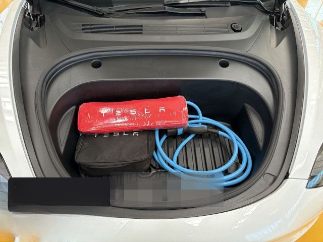 Tesla Model 3 Performance foto 8