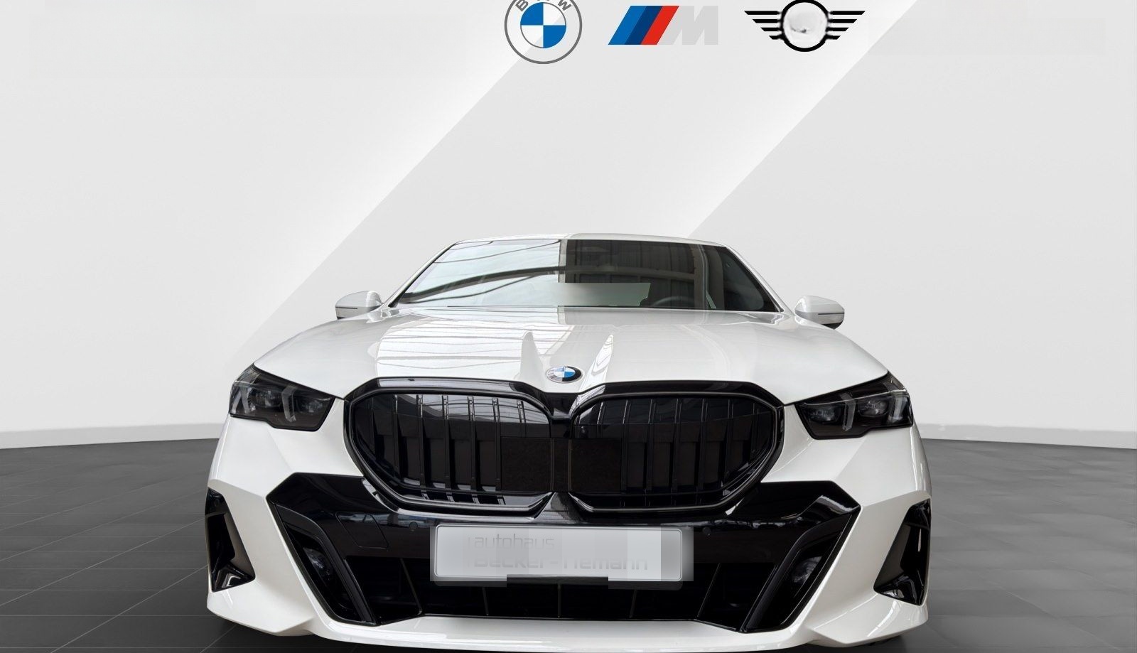 BMW 540d xDrive M Sport Pro /Ic.Glow/LCPro/HK-Sound/ foto 2
