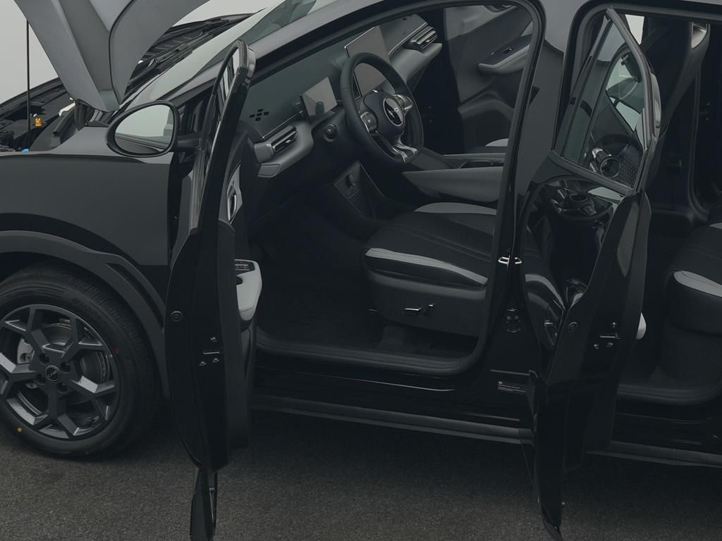 BYD DOLPHIN SURF Boost foto 14