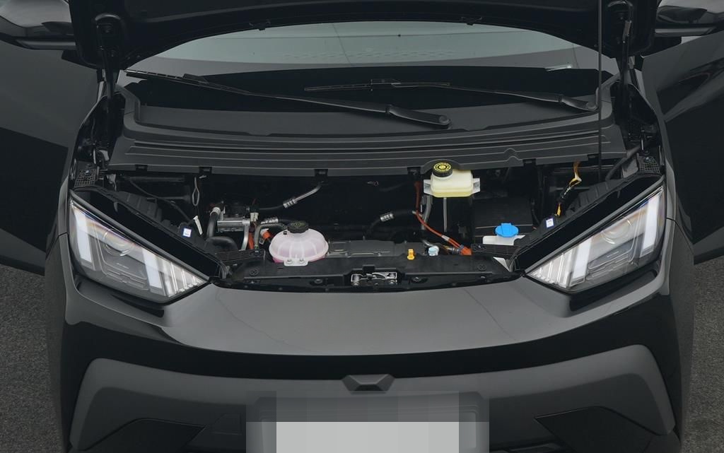 BYD DOLPHIN SURF Boost foto 5