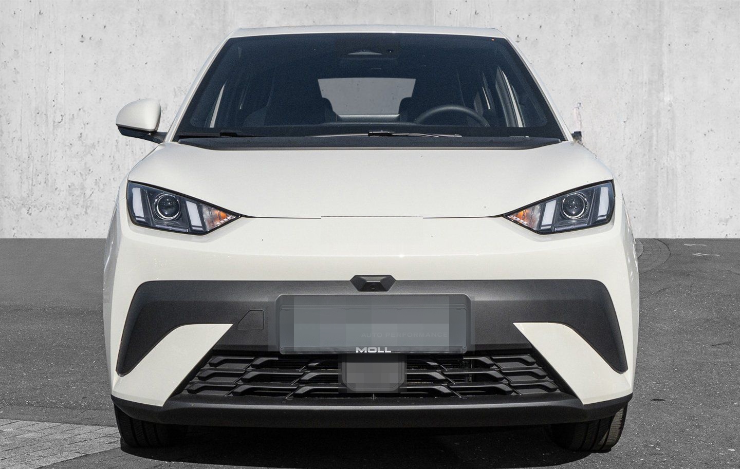 BYD Dolphin Surf Boost Navi Kamera Leder foto 2