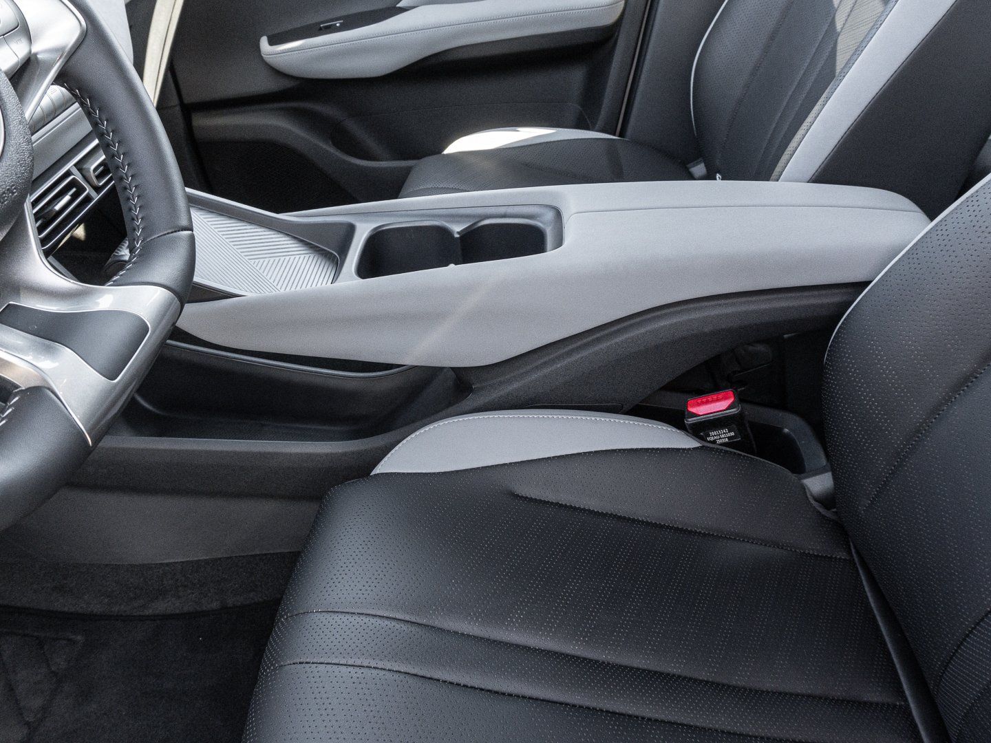 BYD Dolphin Surf Boost Navi Kamera Leder foto 15