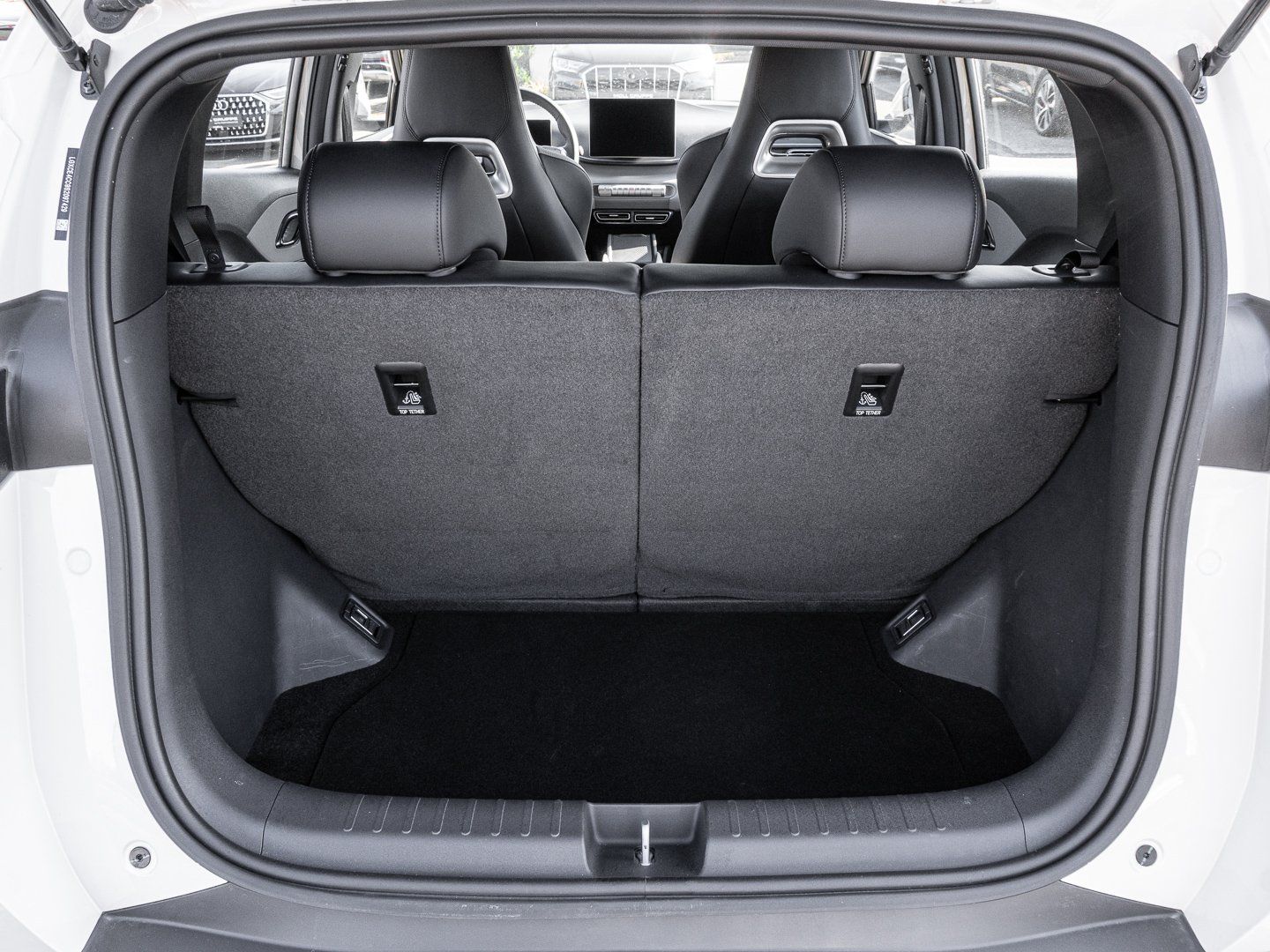 BYD Dolphin Surf Boost Navi Kamera Leder foto 18