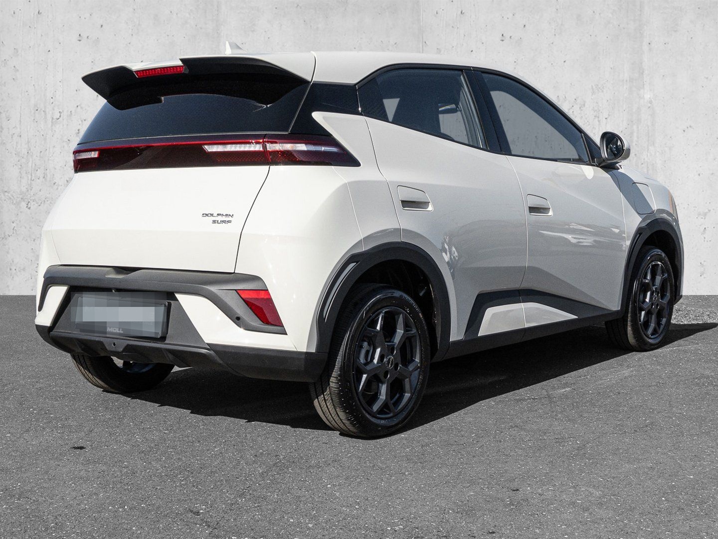 BYD Dolphin Surf Boost Navi Kamera Leder foto 3