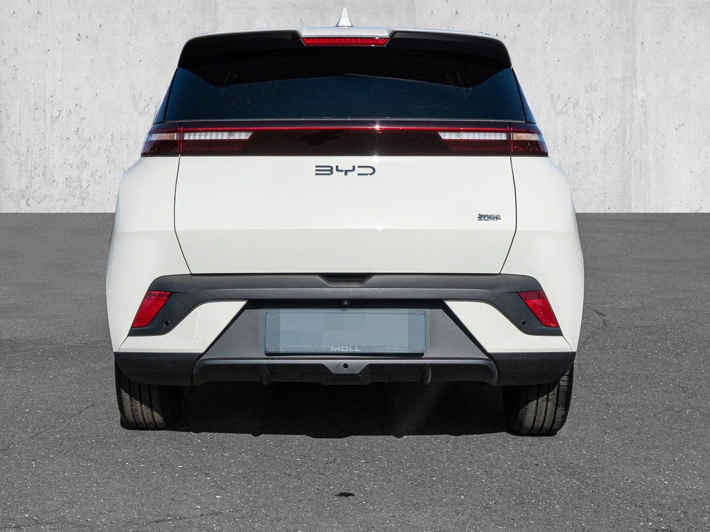 BYD Dolphin Surf Boost Navi Kamera Leder foto 5