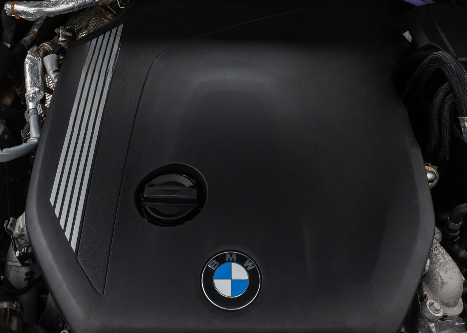 BMW X3 xD30d M Sport Panorama Kamera DAB HiFi DisKey foto 18