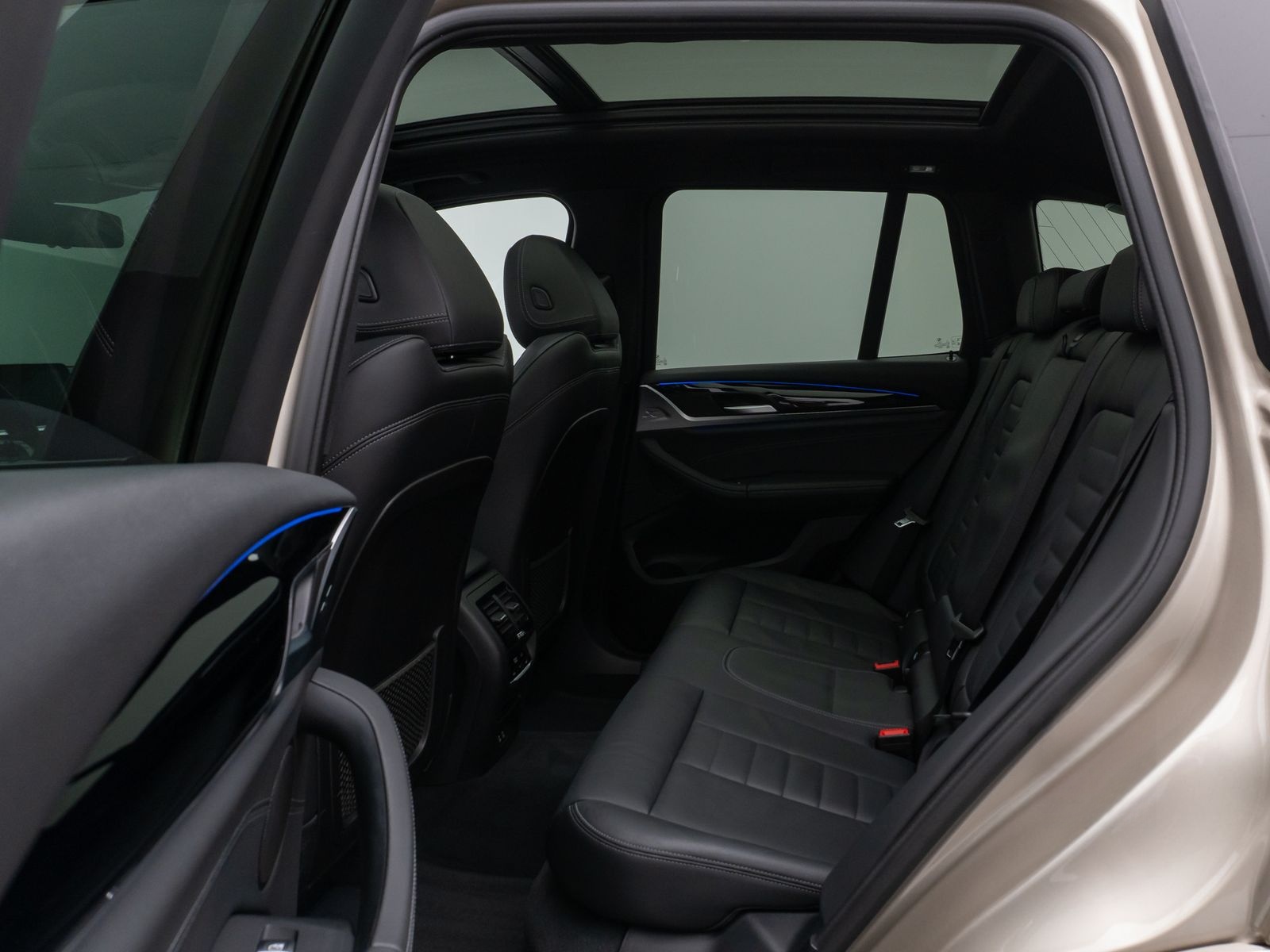 BMW X3 xD30d M Sport Panorama Kamera DAB HiFi DisKey foto 25