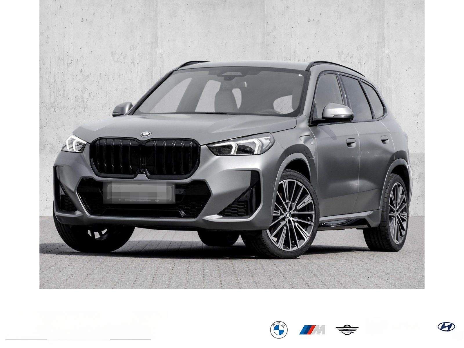 BMW X1 xDrive30e M Sport HUD ACC AHK RFK NAVI LED