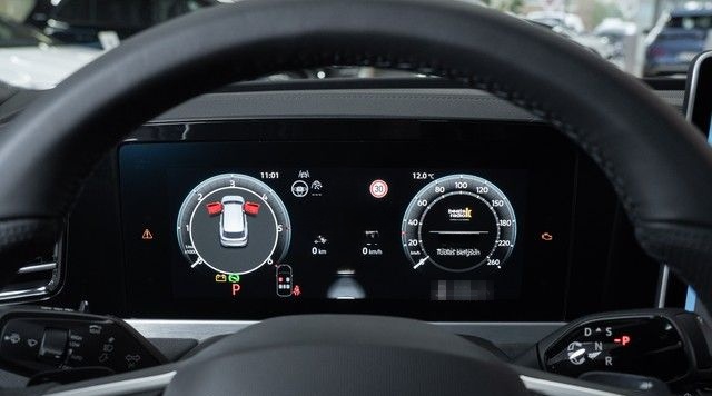 Volkswagen Passat Variant R-Line TDI DSG Harmann Kardon Pan foto 11