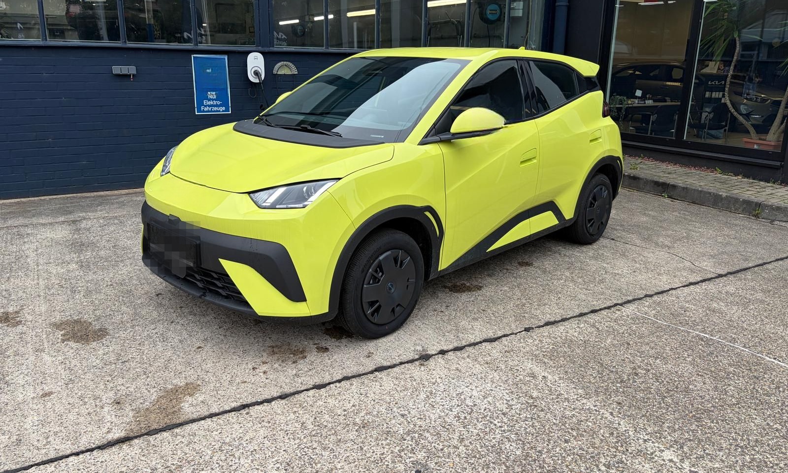 BYD DOLPHIN SURF ACTIVE 30KWH 88PS KAMERA KEYLESS foto 3