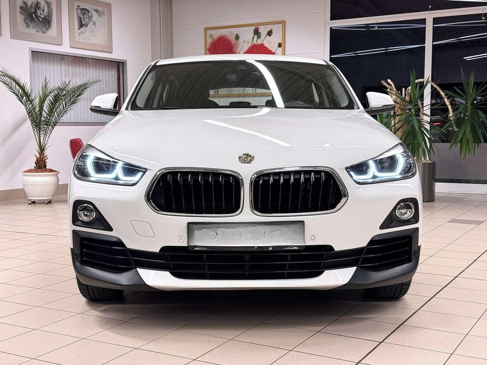 BMW xDrive 20i /LED/Navi/Ahk/VZE/Park-Ass foto 3