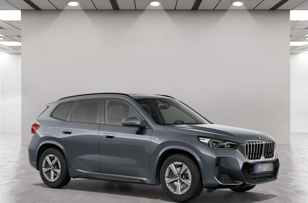 BMW X1 sDrive20i M Sport AHK Driv.Assist+ Harman/K foto 9