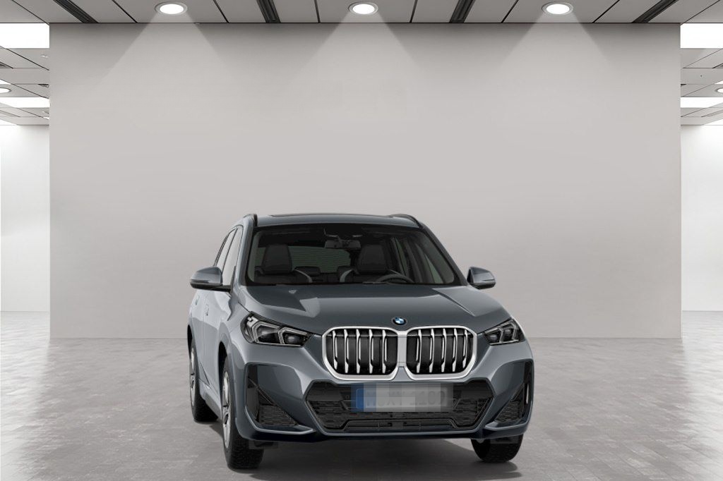 BMW X1 sDrive20i M Sport AHK Driv.Assist+ Harman/K foto 10