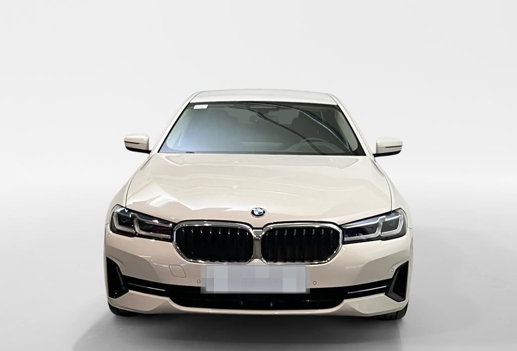 BMW 530d xDrive Aut AHK+ACC+Inno+Laser+HiFi+Business foto 2