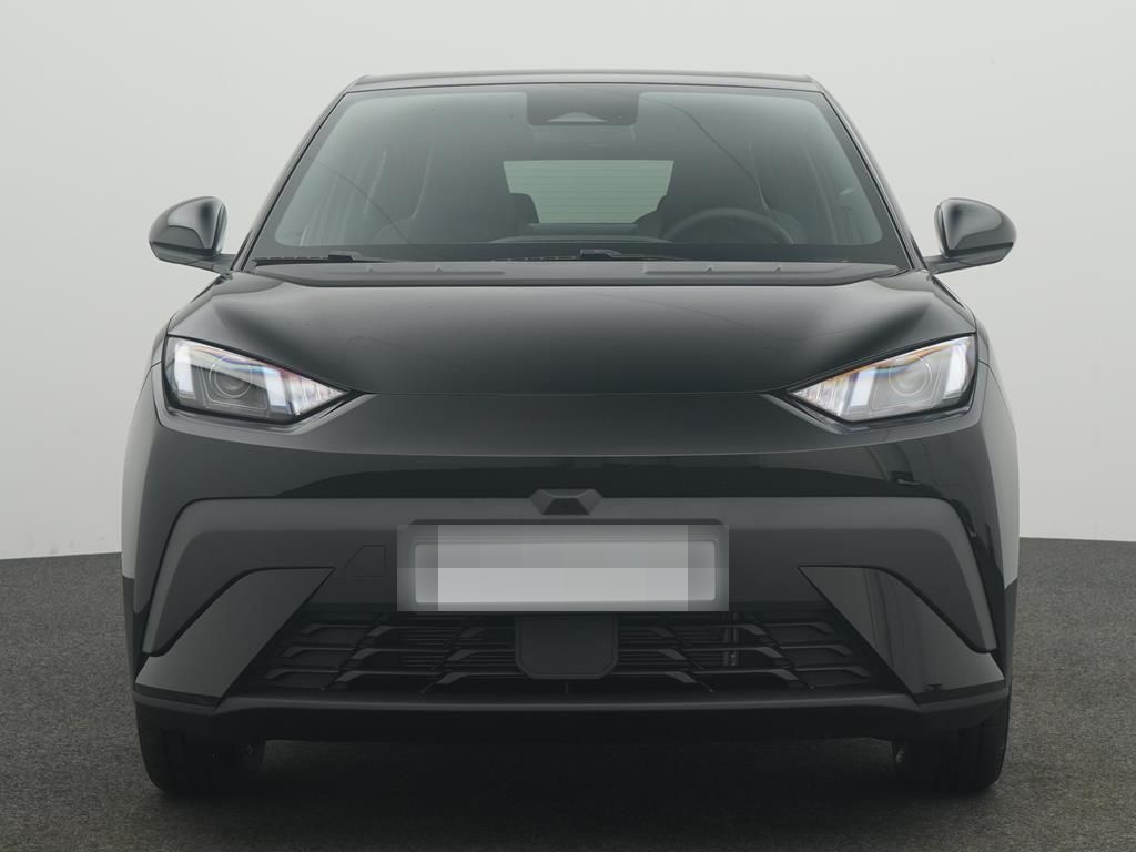 BYD DOLPHIN SURF Boost foto 2