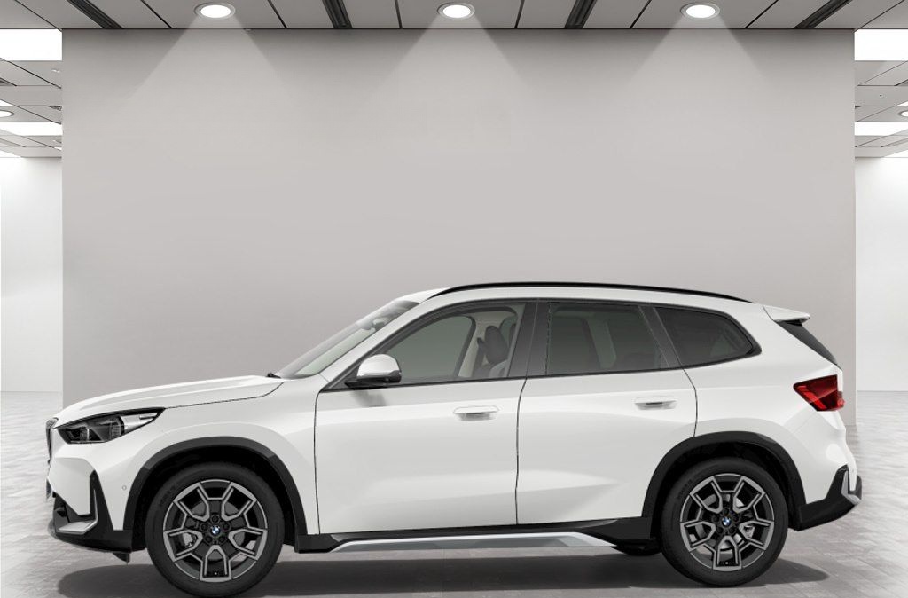 BMW X1 sDrive20d AHK Driv.Assist+ Harman/K Head-Up foto 5