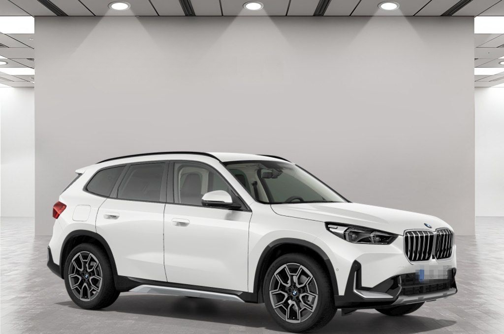 BMW X1 sDrive20d AHK Driv.Assist+ Harman/K Head-Up foto 9