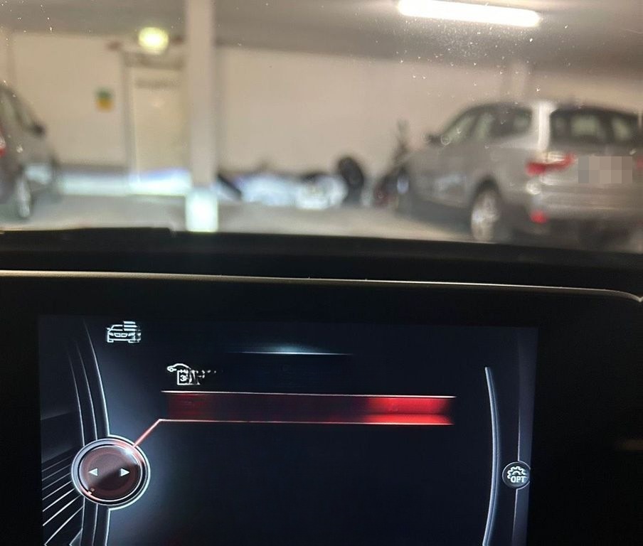 BMW Gt 318 2017 foto 3
