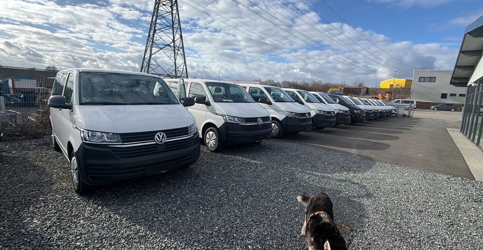 Volkswagen T6 Caravelle 2.0 TDI #9-SITZER #KLIMA #PDC foto 14