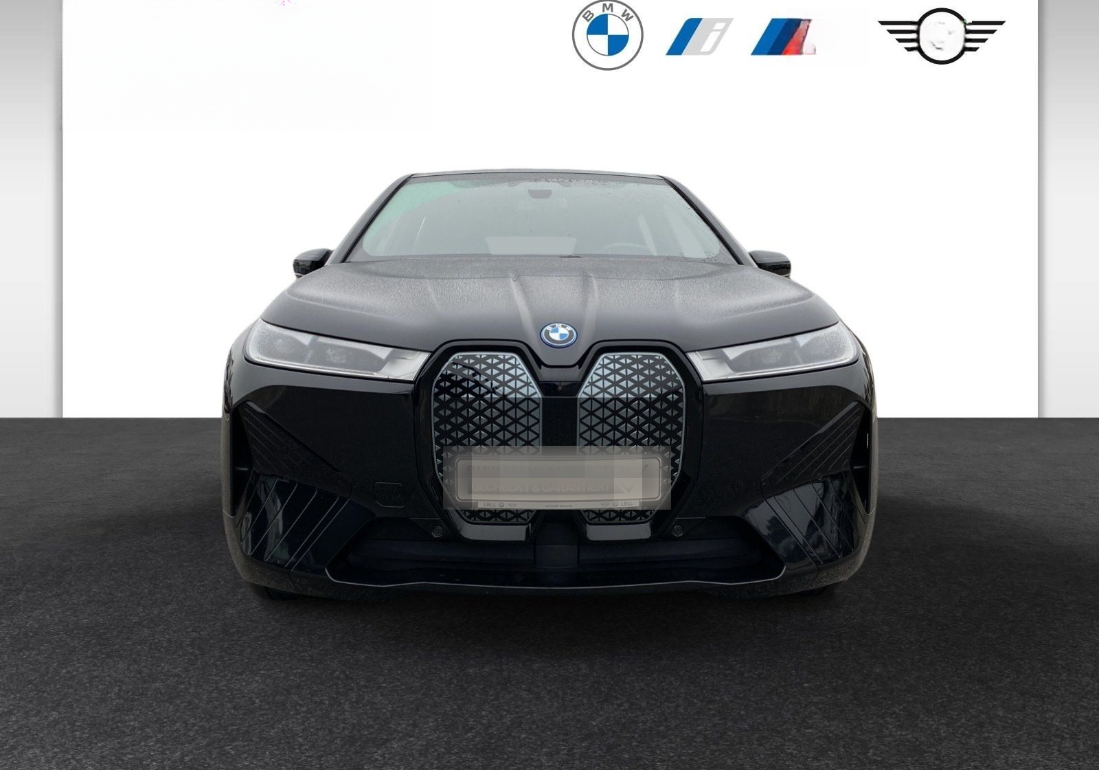 BMW iX xDrive40 Sportpaket DAB Harman RFK 21LM foto 3