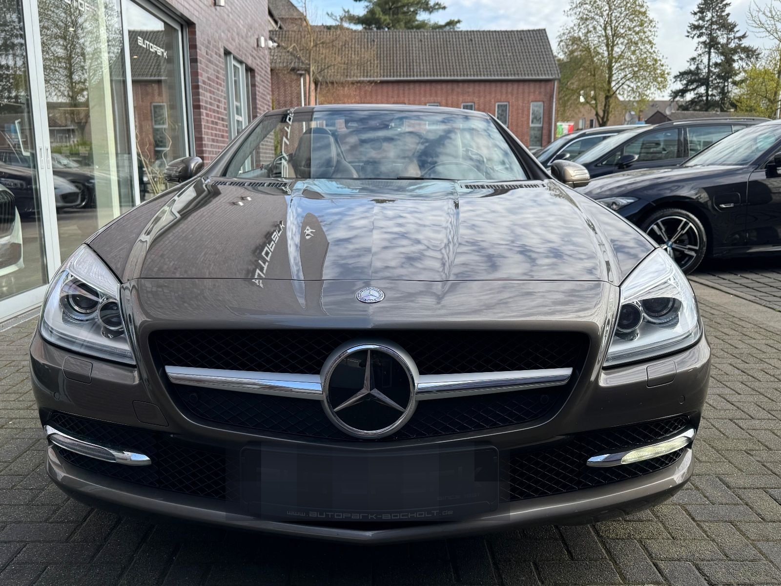 Mercedes-Benz SLK 250 Roadster BlueEfficiency foto 2