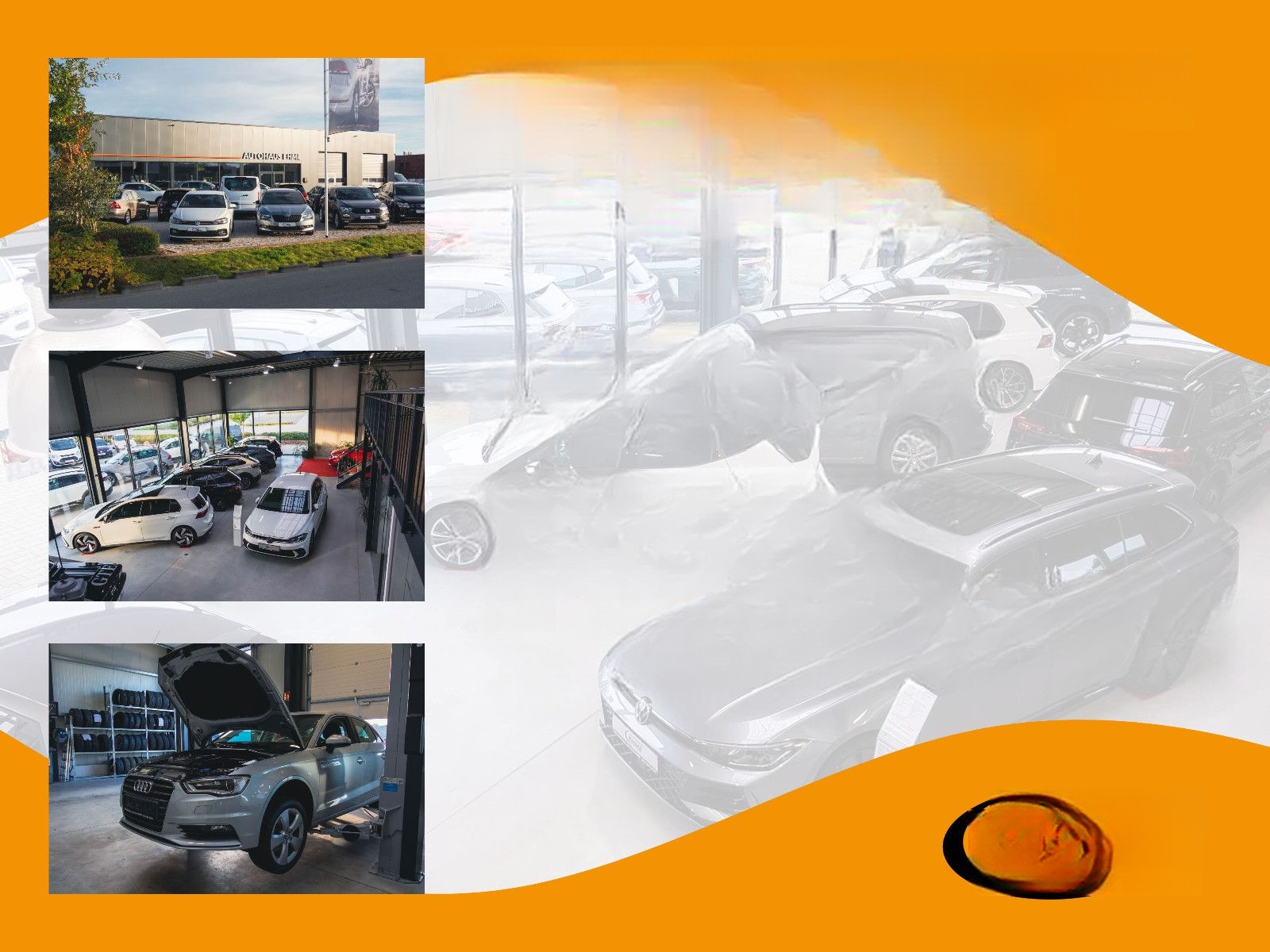 Volkswagen Golf VIII Life 1.5 TSI *HuD*AHK*NAV*ACC*SHZ* foto 8