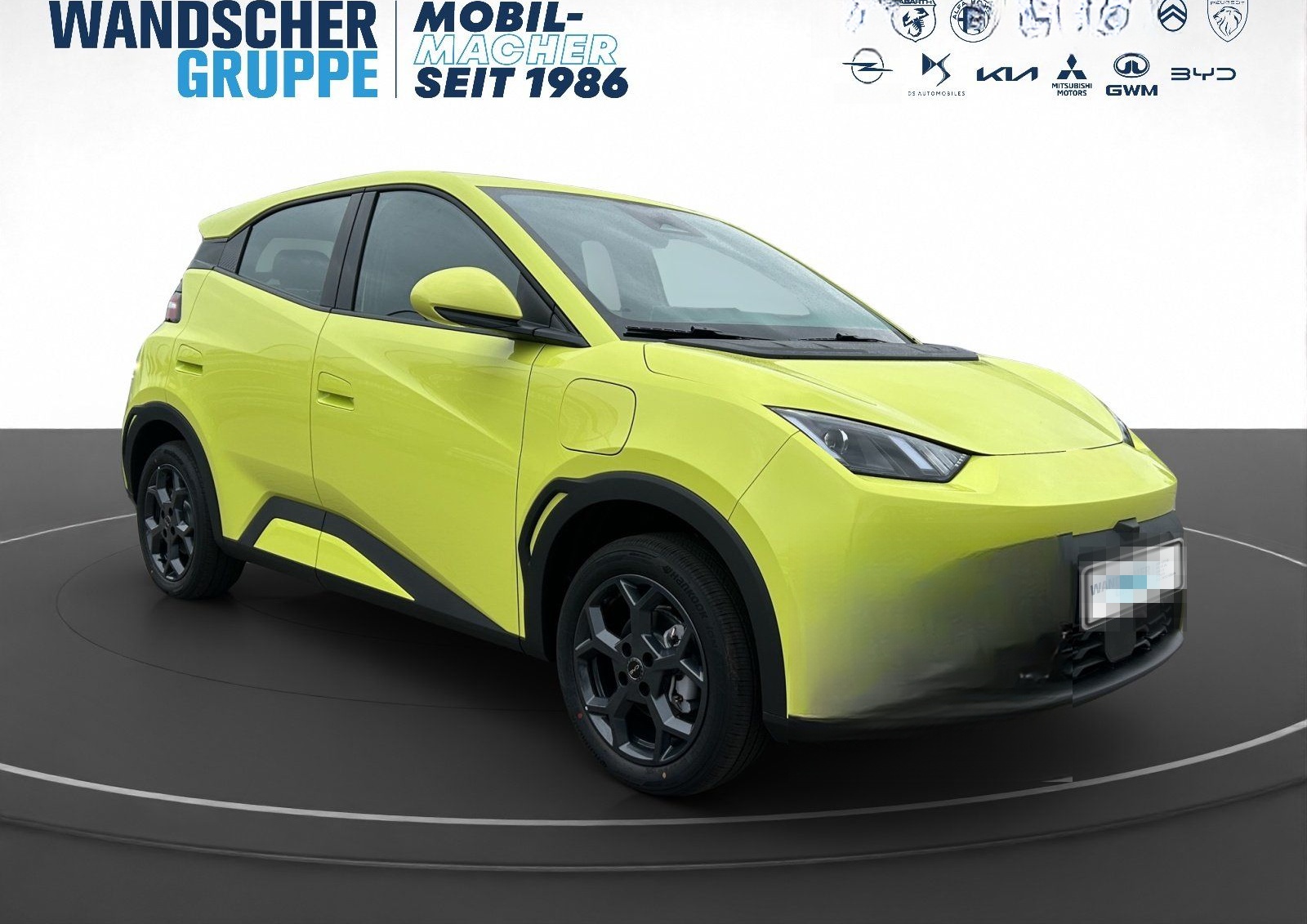 BYD Dolphin Surf 65 kW Boost KAMERA ACC ALU NAVI foto 9