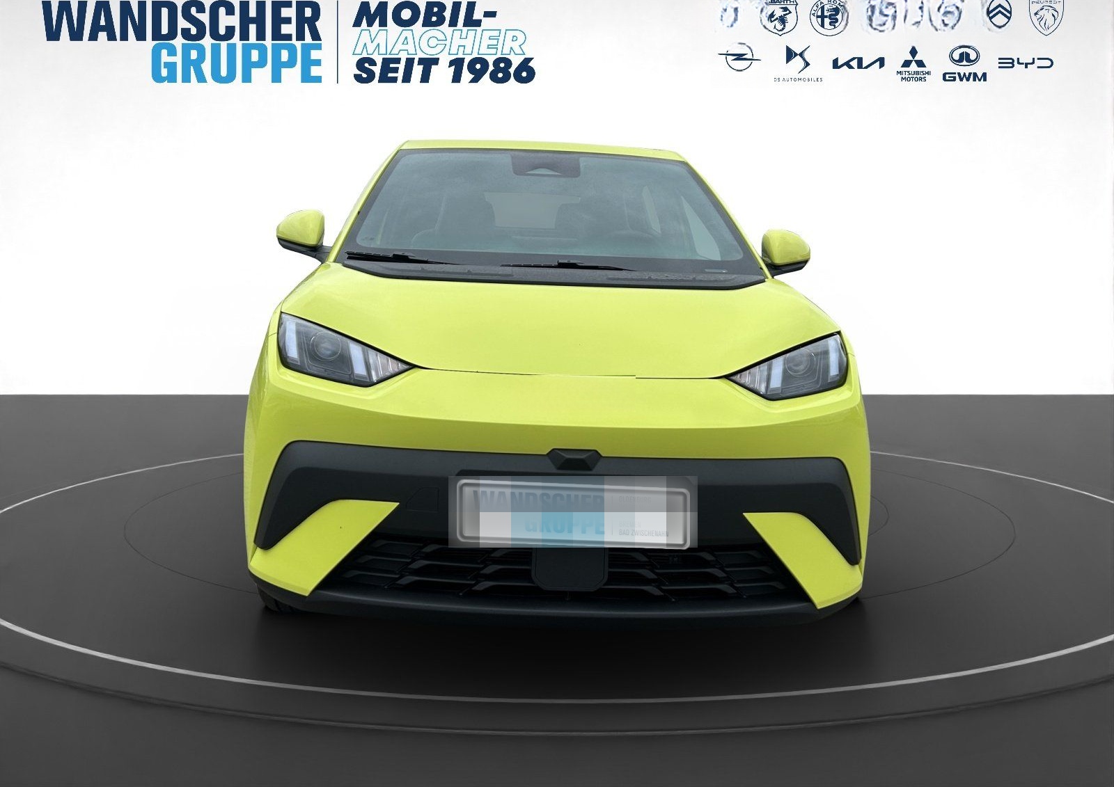 BYD Dolphin Surf 65 kW Boost KAMERA ACC ALU NAVI foto 10