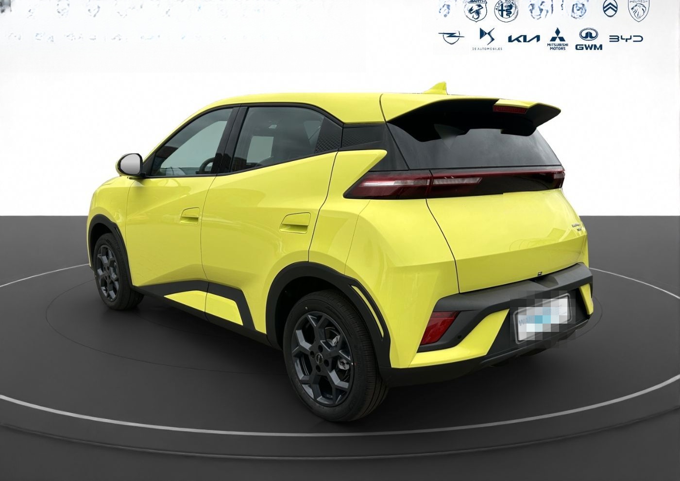 BYD Dolphin Surf 115 kw Comfort 360° ACC LED SHZ foto 5