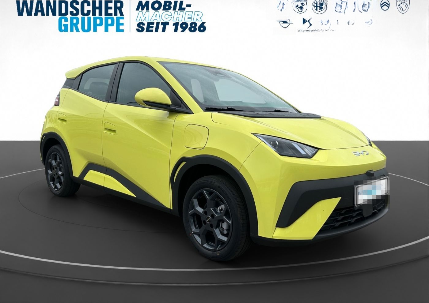 BYD Dolphin Surf 115 kw Comfort 360° ACC LED SHZ foto 9